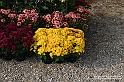 VBS_6797 - FLOREAL Ottobre 2022 - Tre giorni di fiori, piante e bellezza